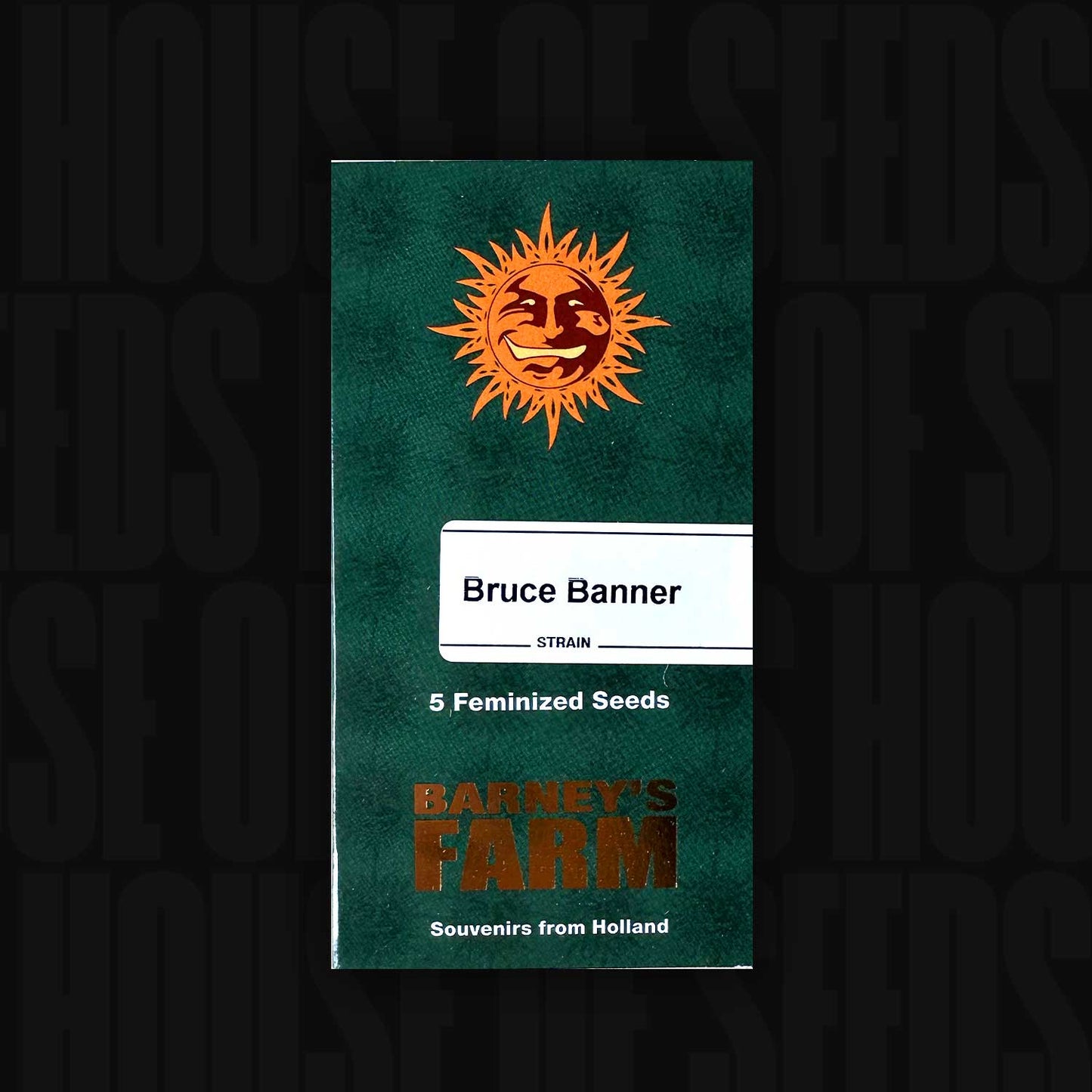 Bruce Banner