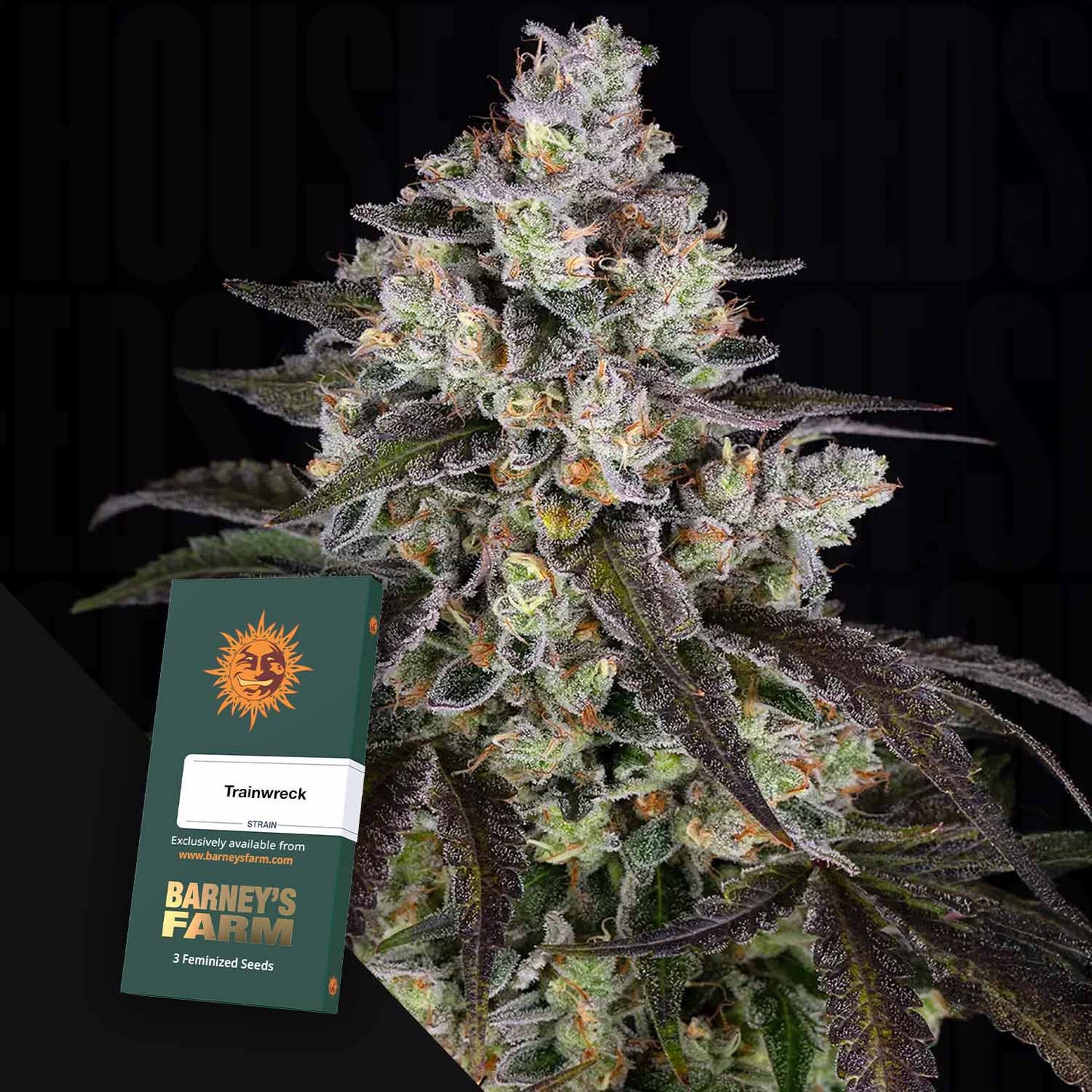 Trainwreck