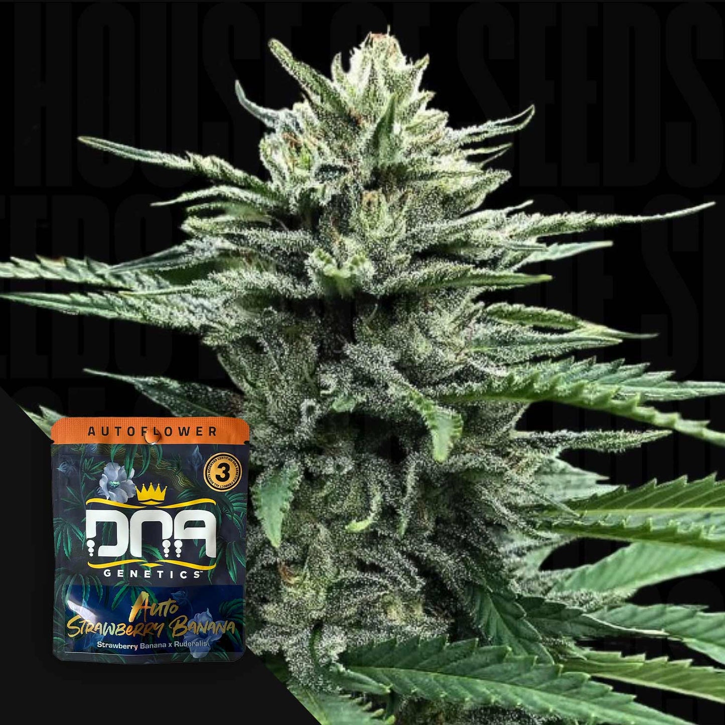 AUTO Strawberry Banana