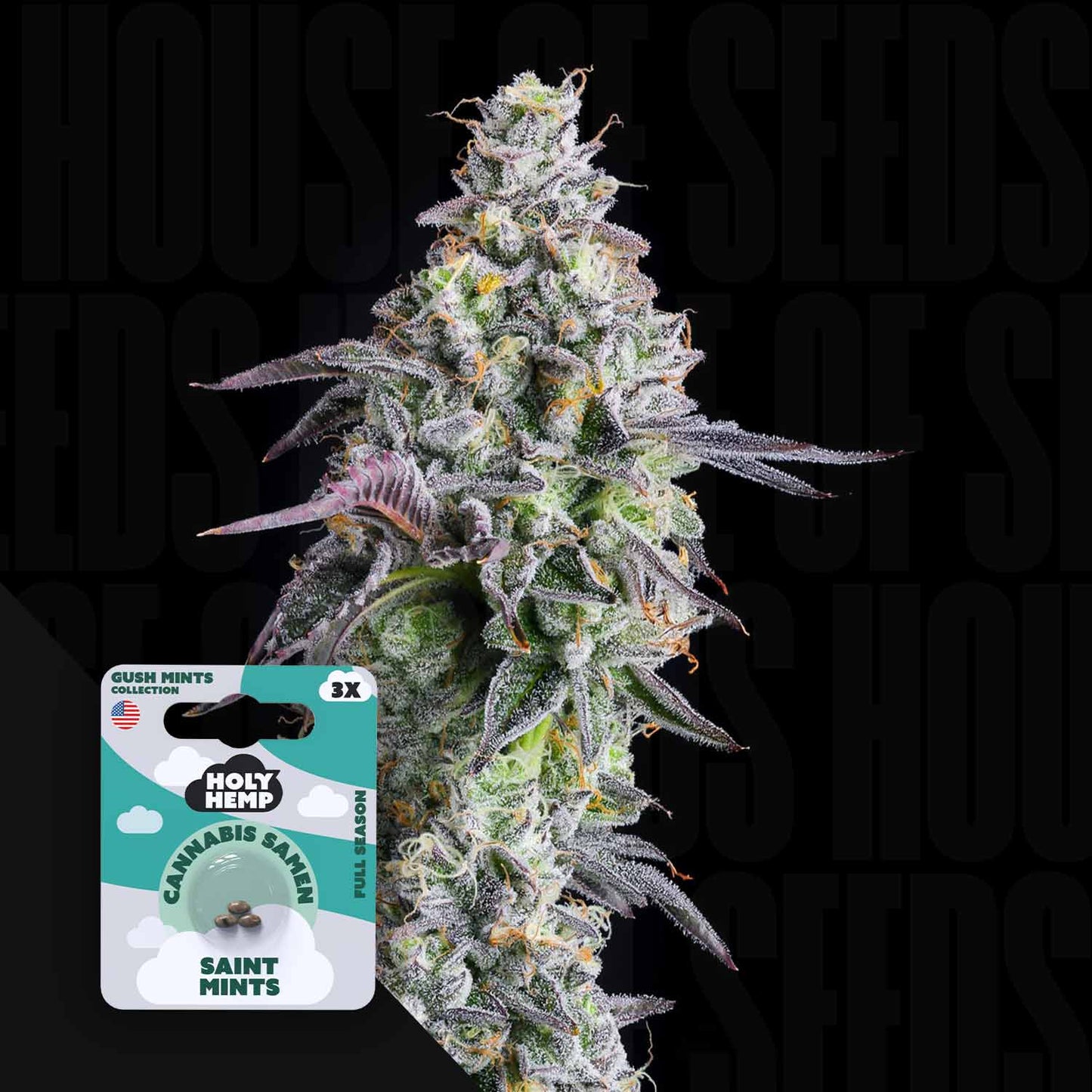 Saint Mints