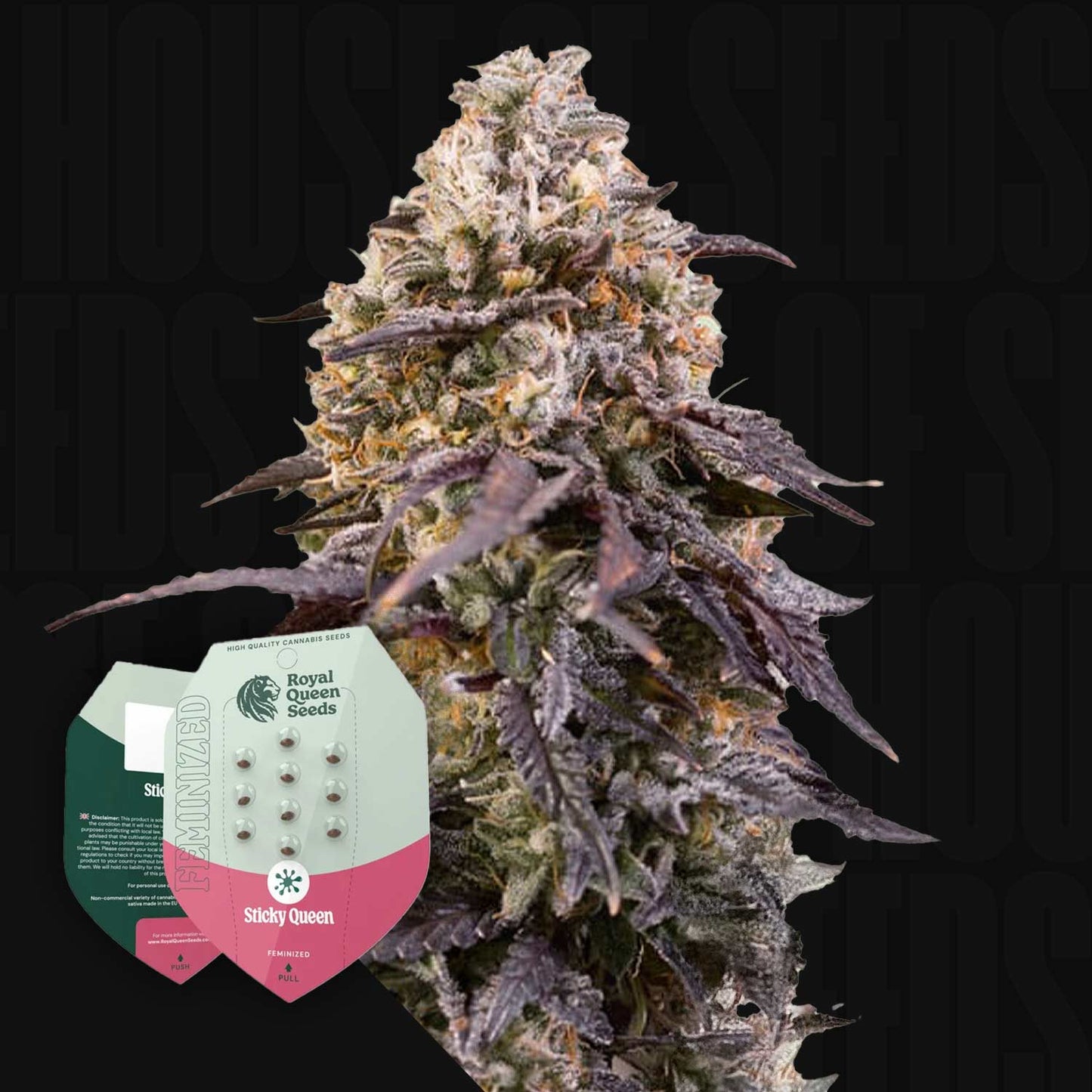 Sticky Queen