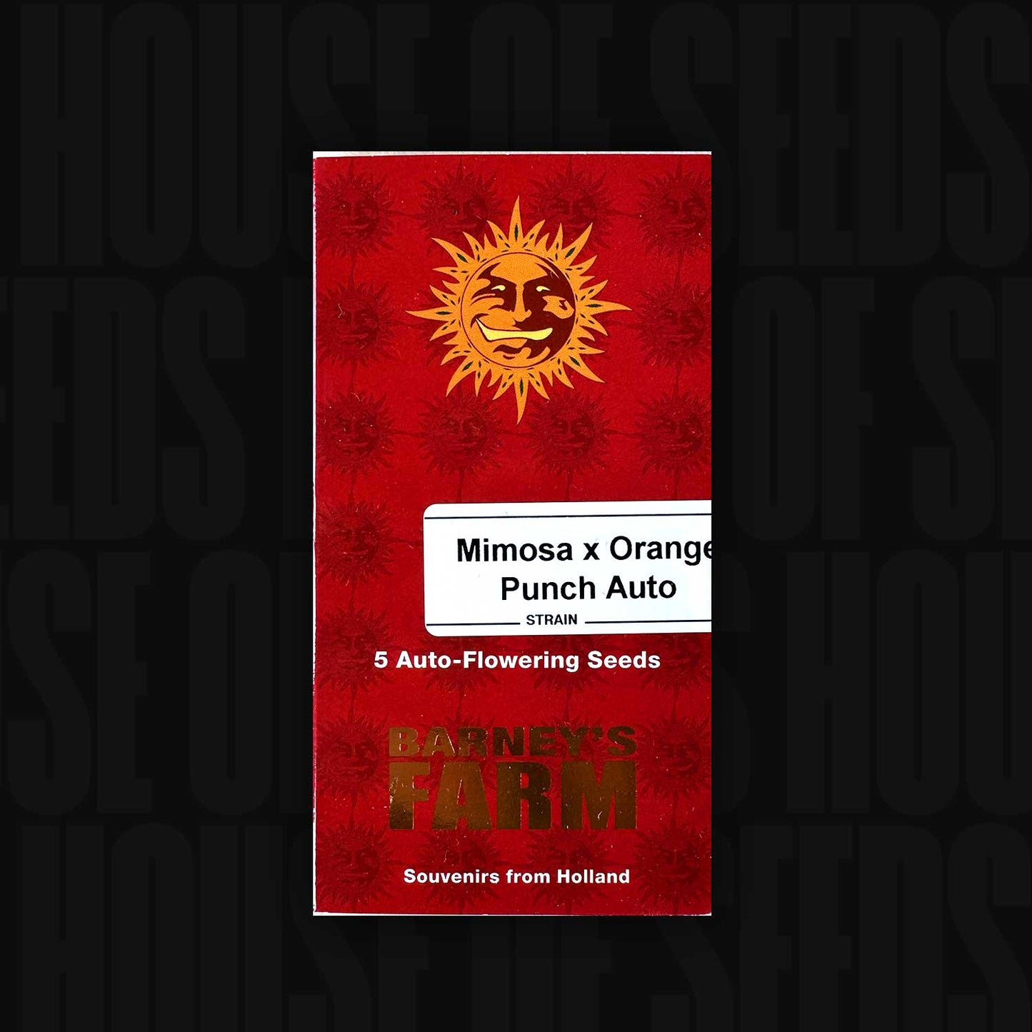 Mimosa x Orange Punch Auto