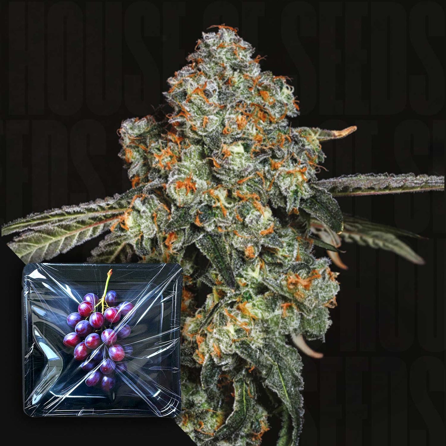 Dirty Grape