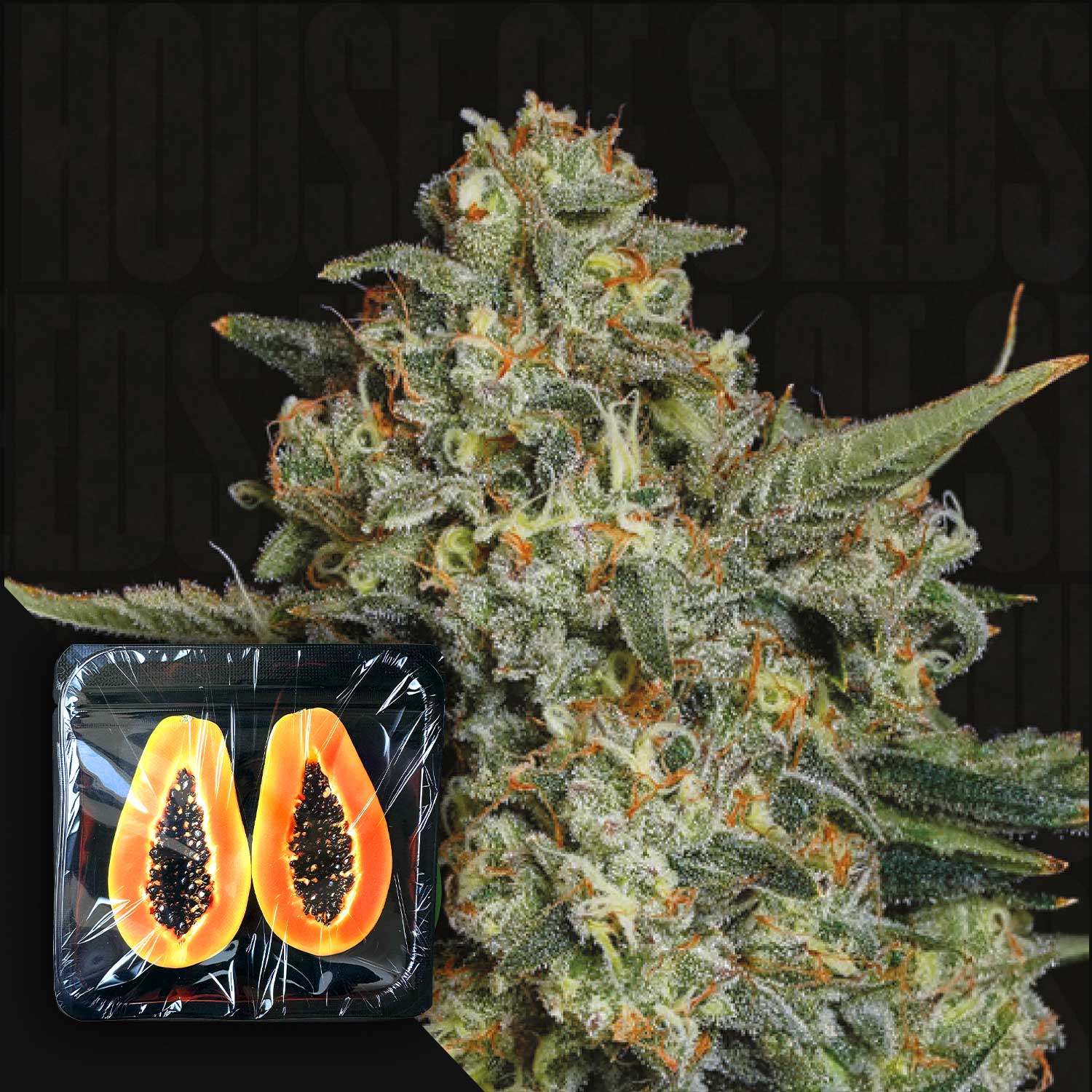 Selected Variant Image