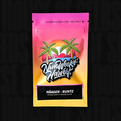 Häagen Runtz