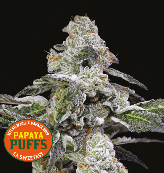 Papaya Puffs