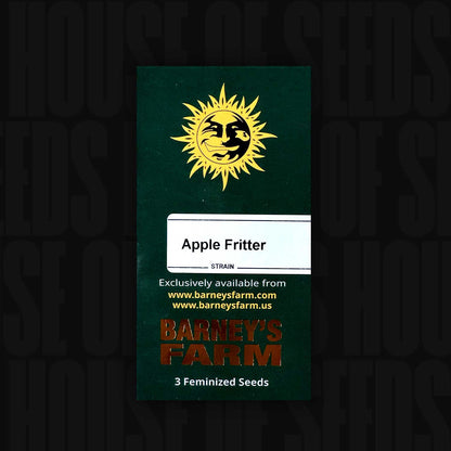 Apple Fritter