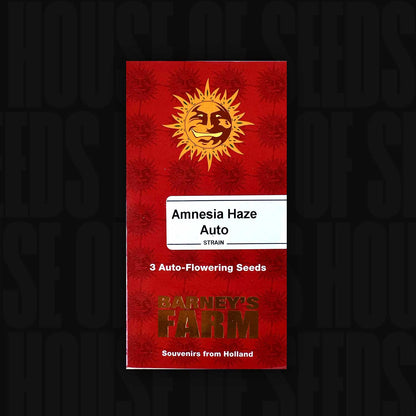 Amnesia Haze Auto