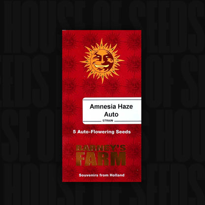 Amnesia Haze Auto