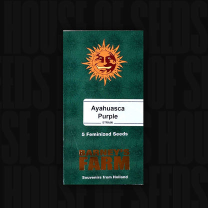 Ayahuasca Purple