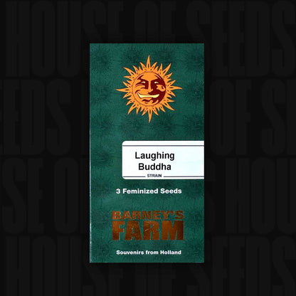 Laughing Buddha