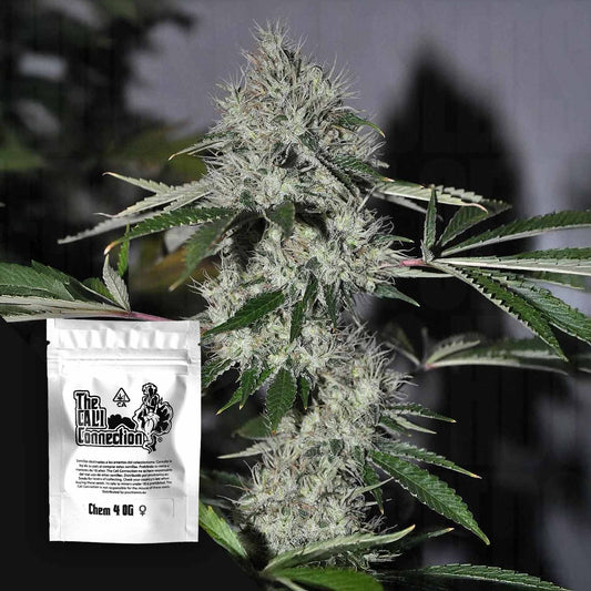 Chem 4 OG