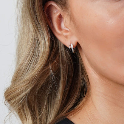 Double Crystal Earrings