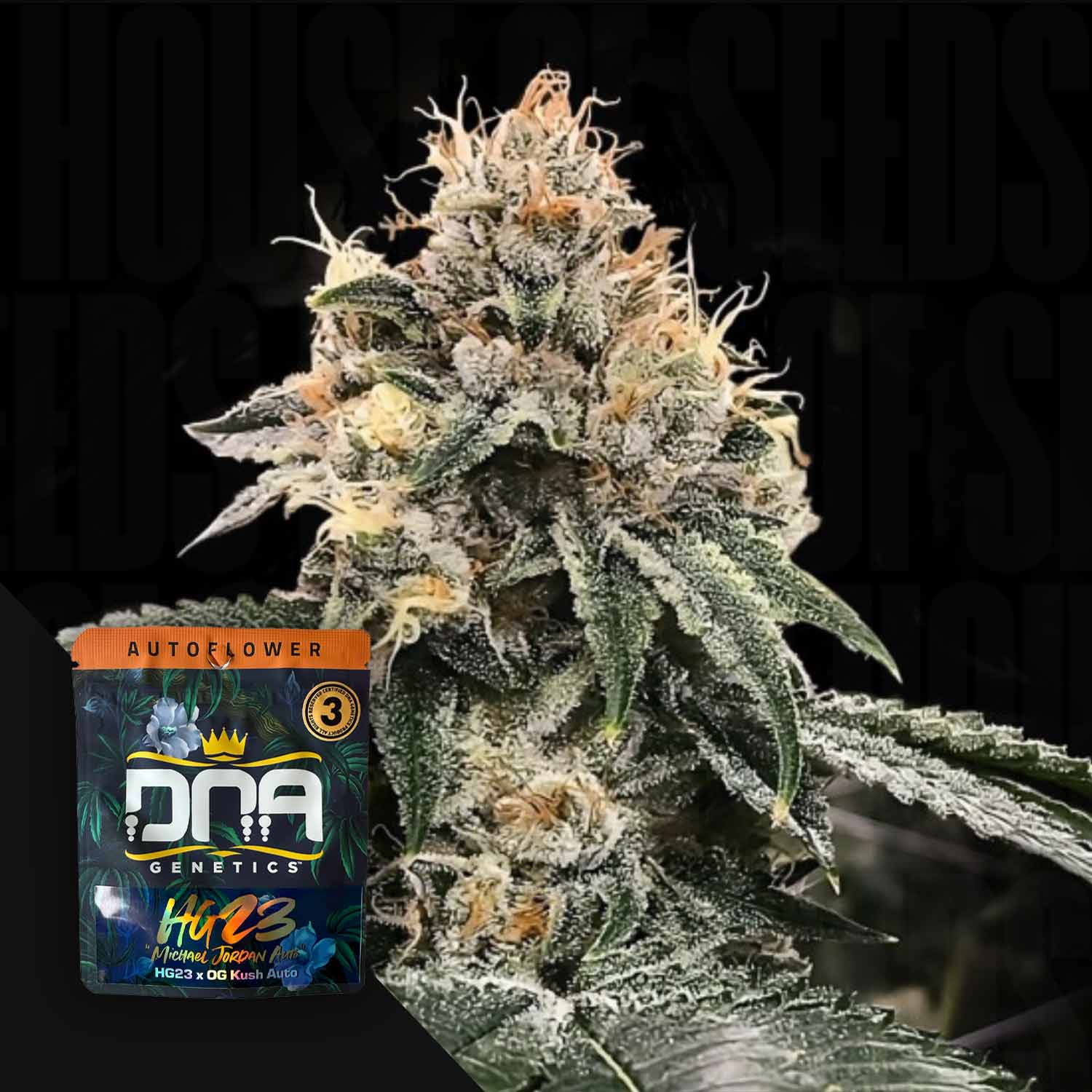 Selected Variant Image