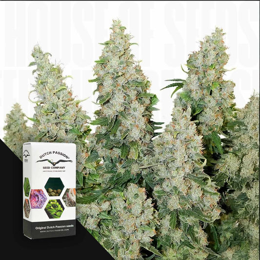 Auto Think Different