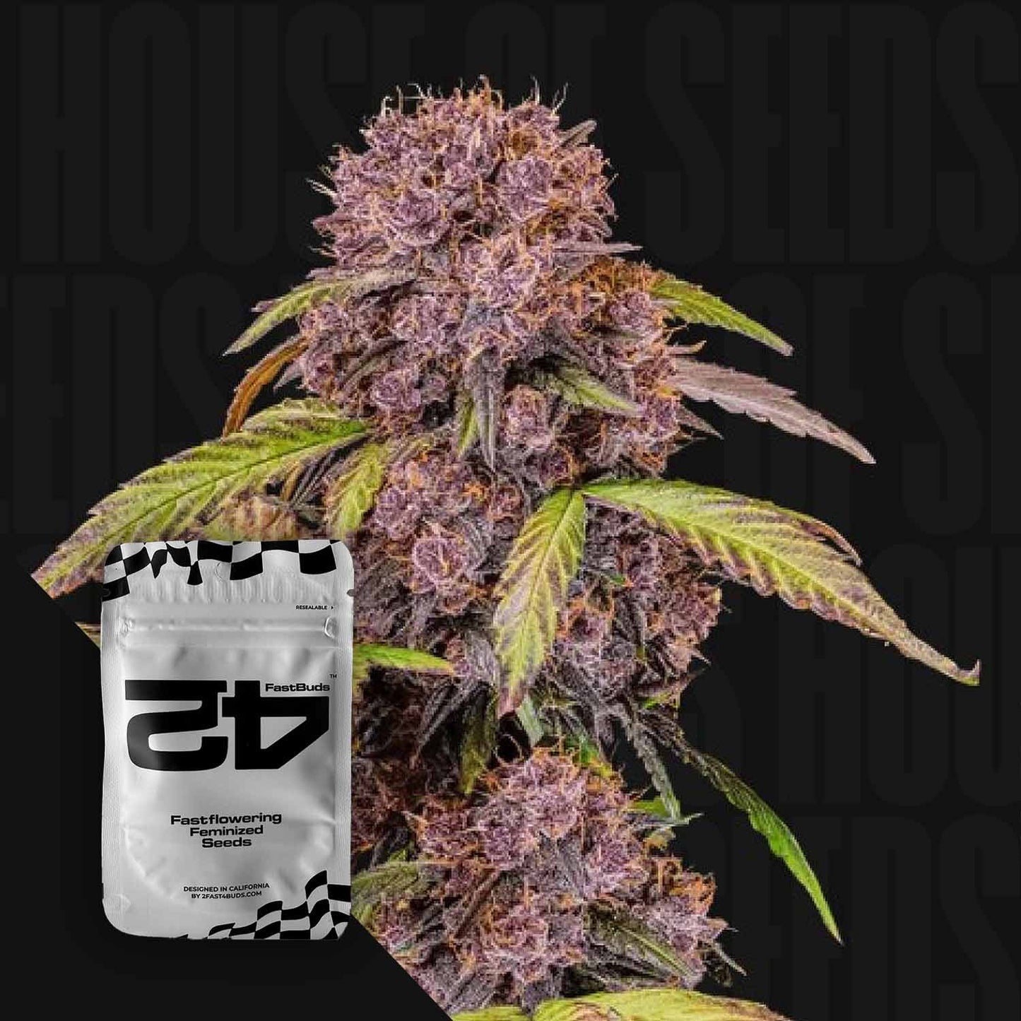 Lemon Cherry Cookies Auto