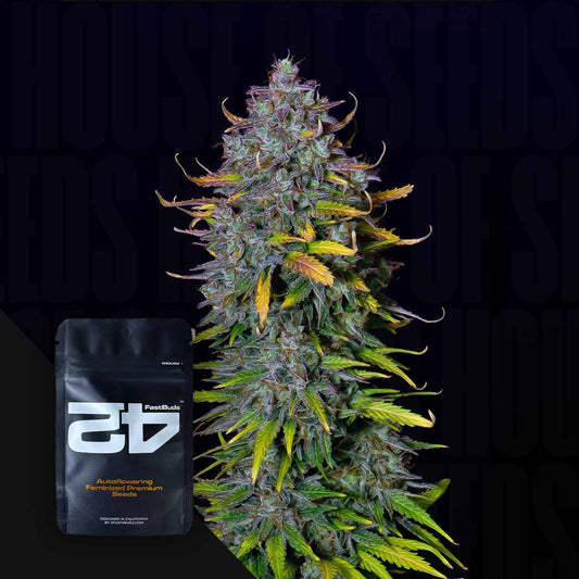Pineapple Express Auto