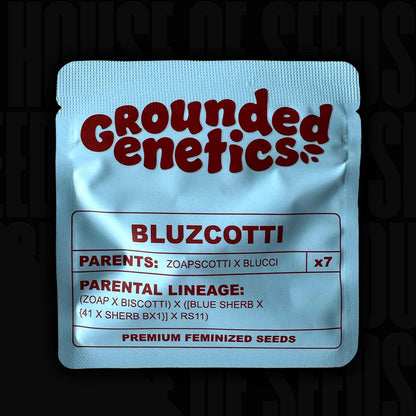 Bluzcotti