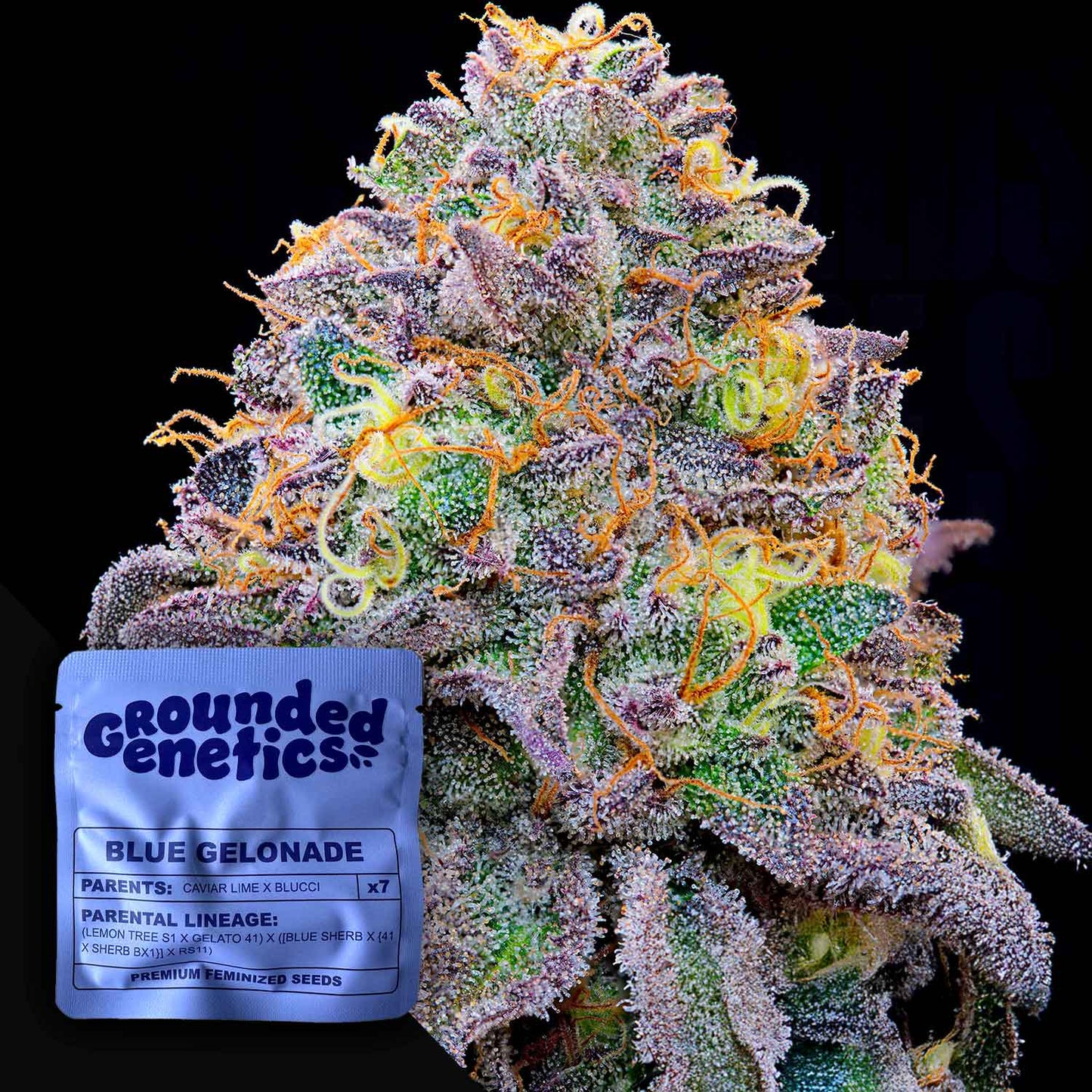 Blue Gelonade