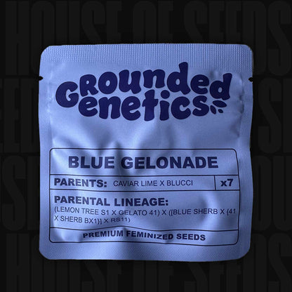 Blue Gelonade