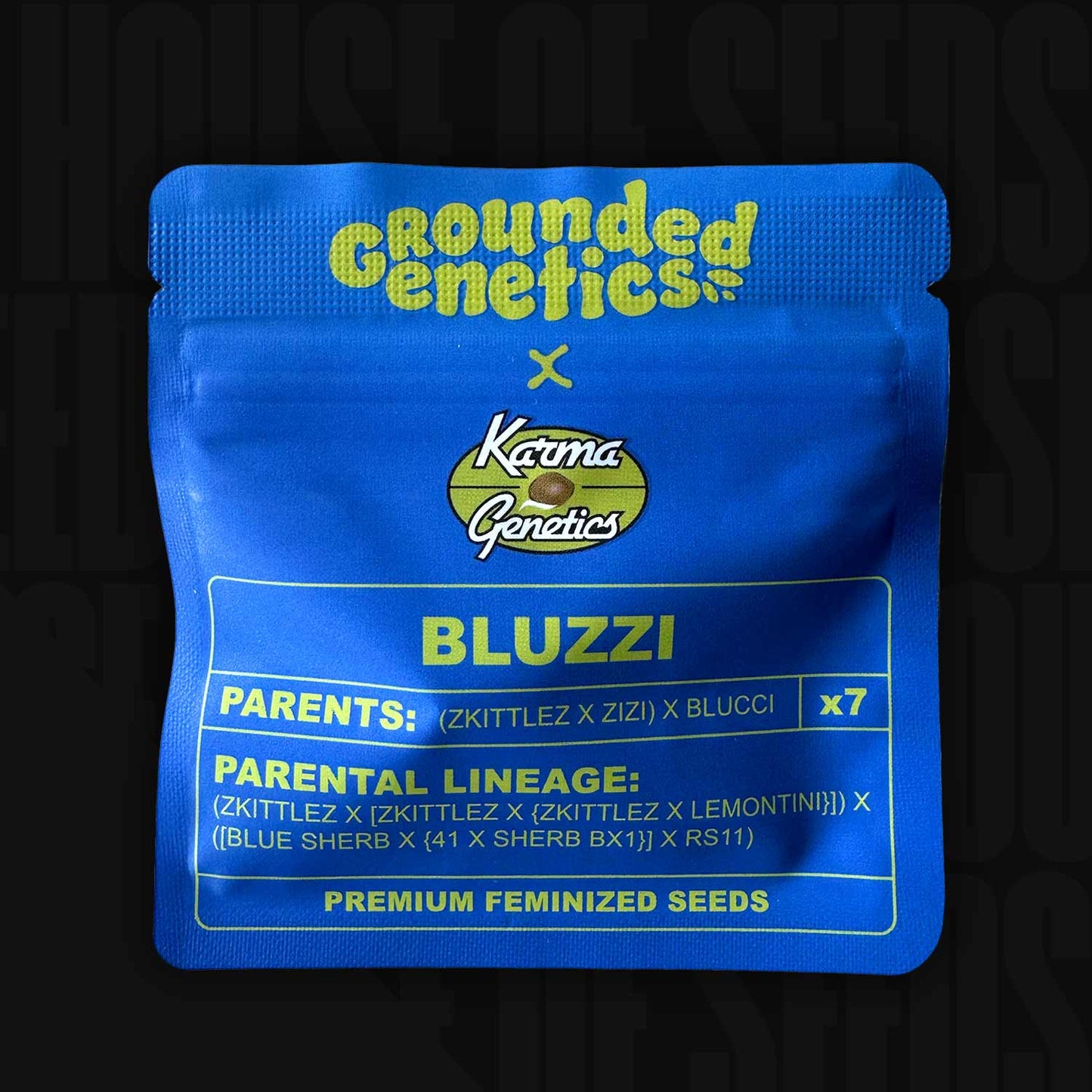 Bluzzi