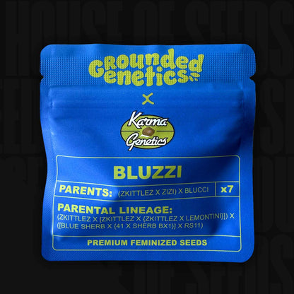 Bluzzi