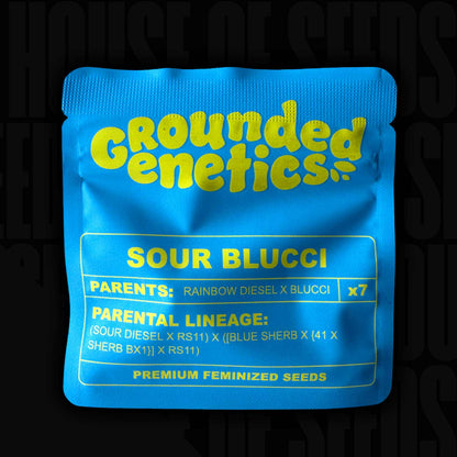 Sour Blucci