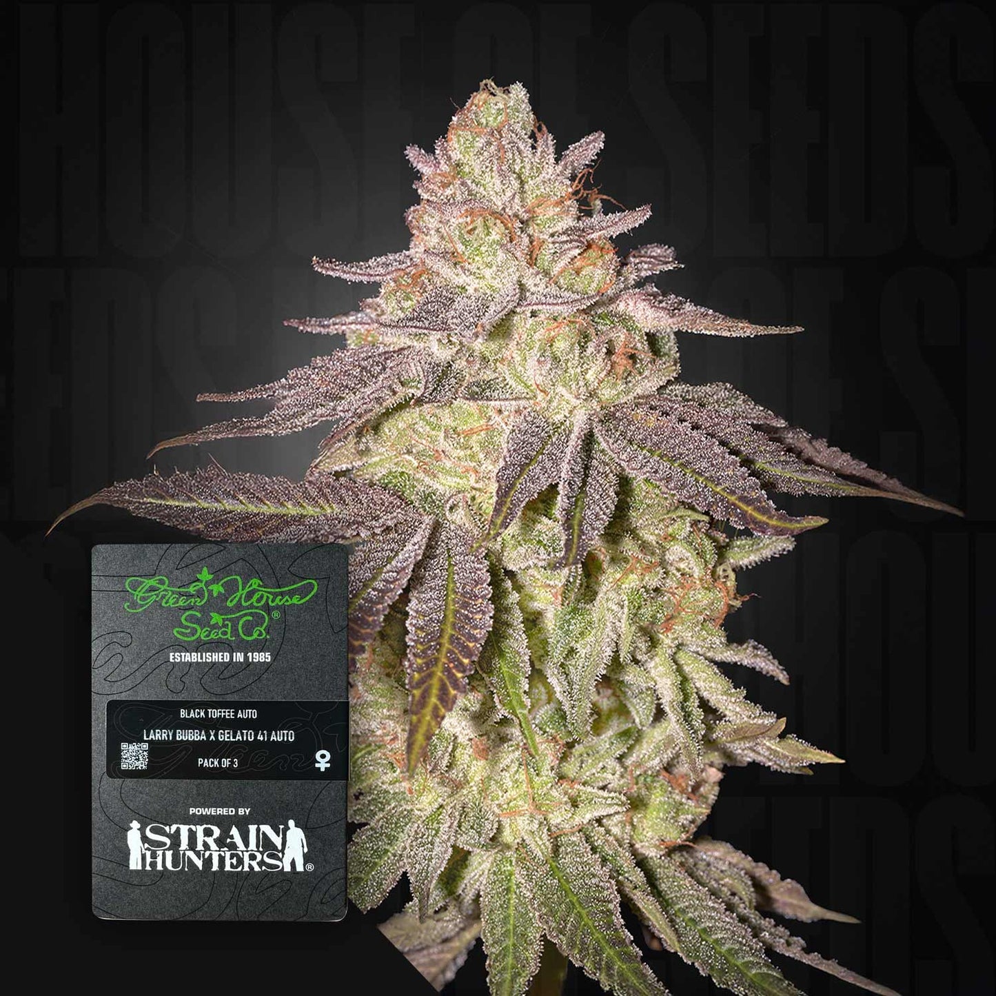 Black Toffee Auto