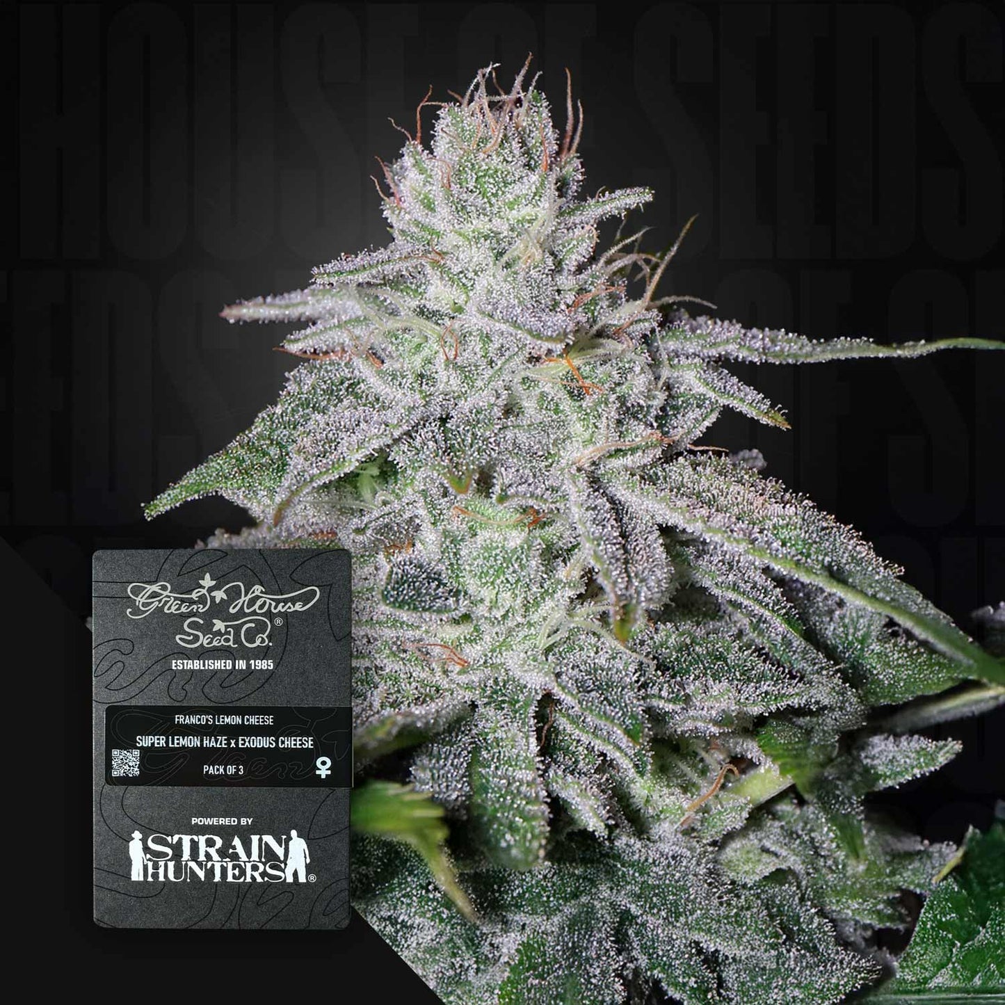 Franco's Lemon Cheese