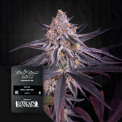 King's Juice