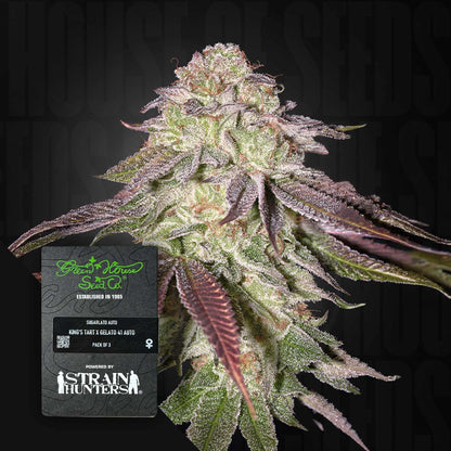 Sugarlato Auto