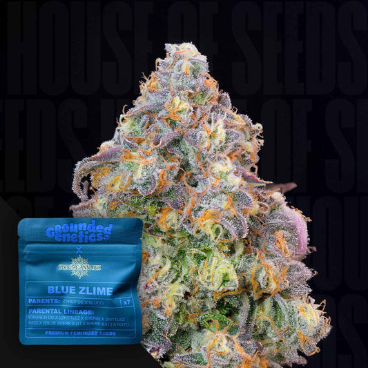 Blue Zlime