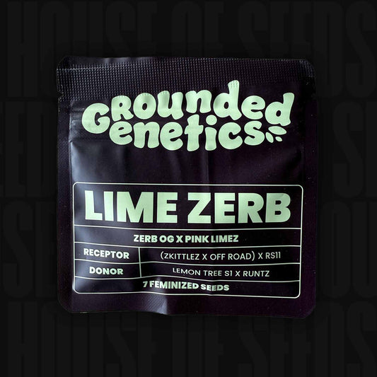 Lime Zerb
