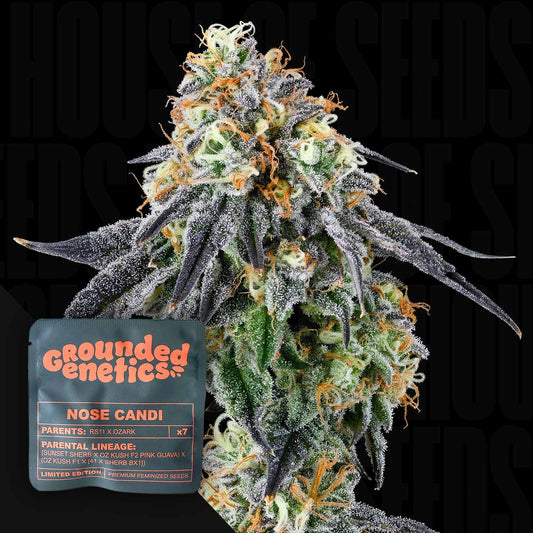 Nose Candi