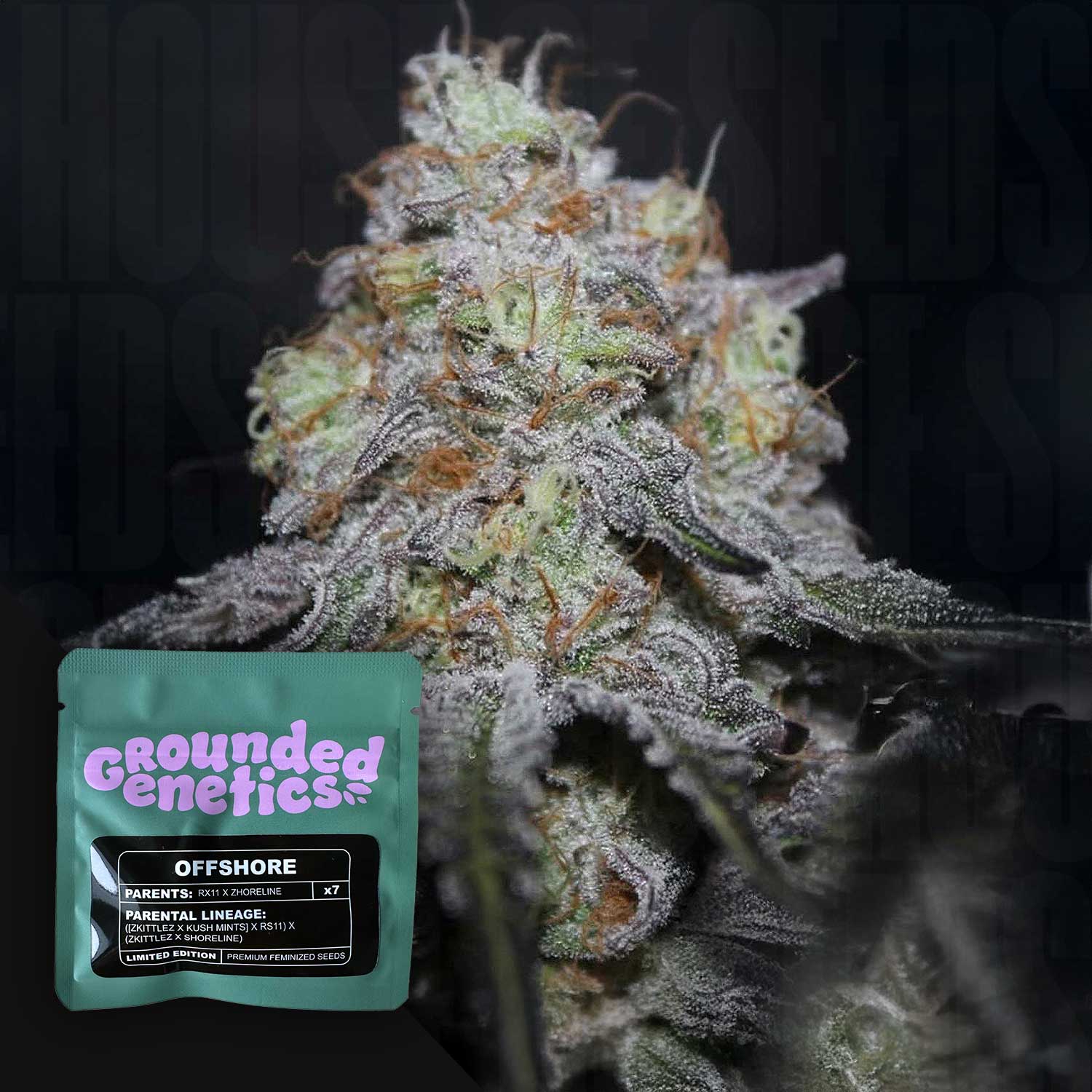 Selected Variant Image