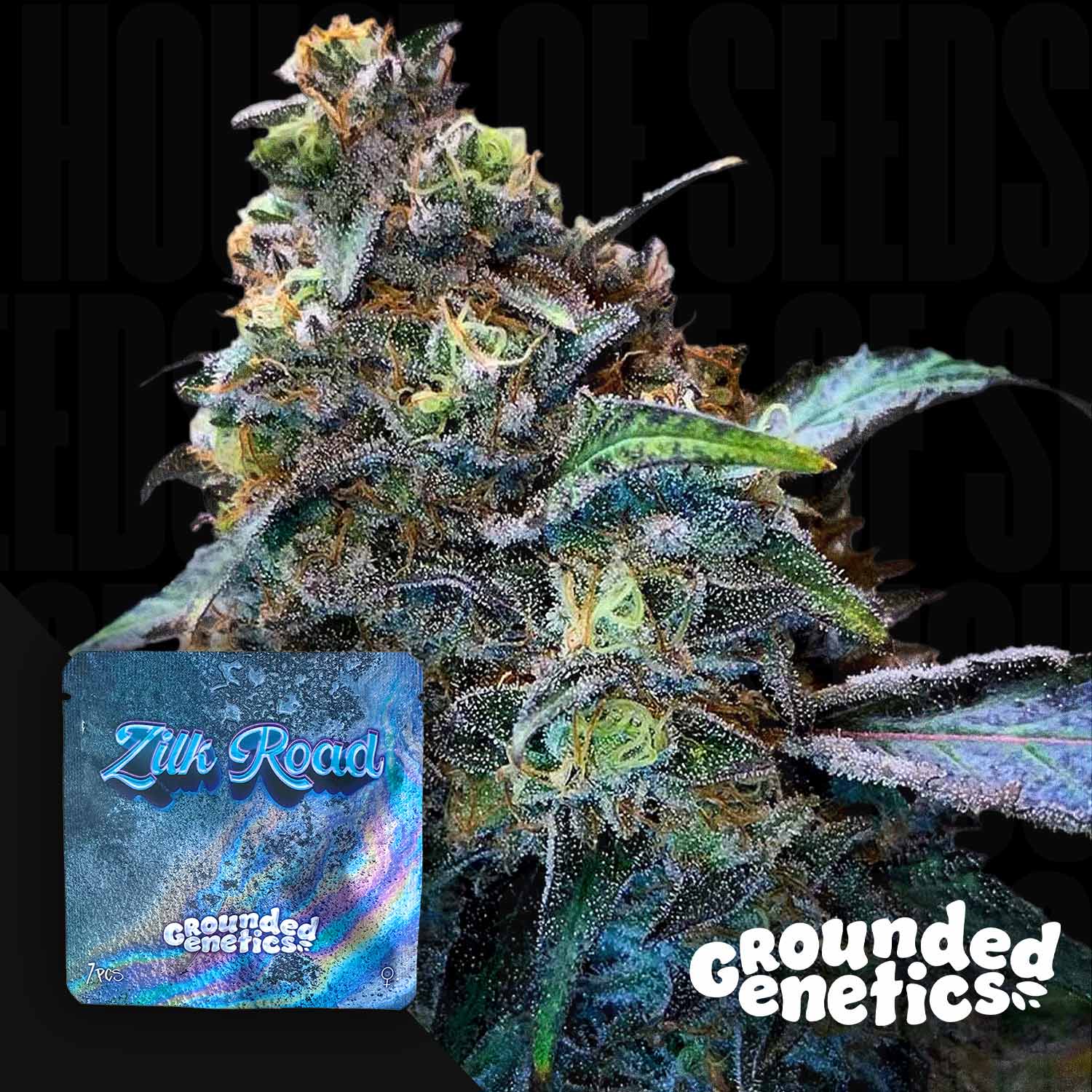 Selected Variant Image