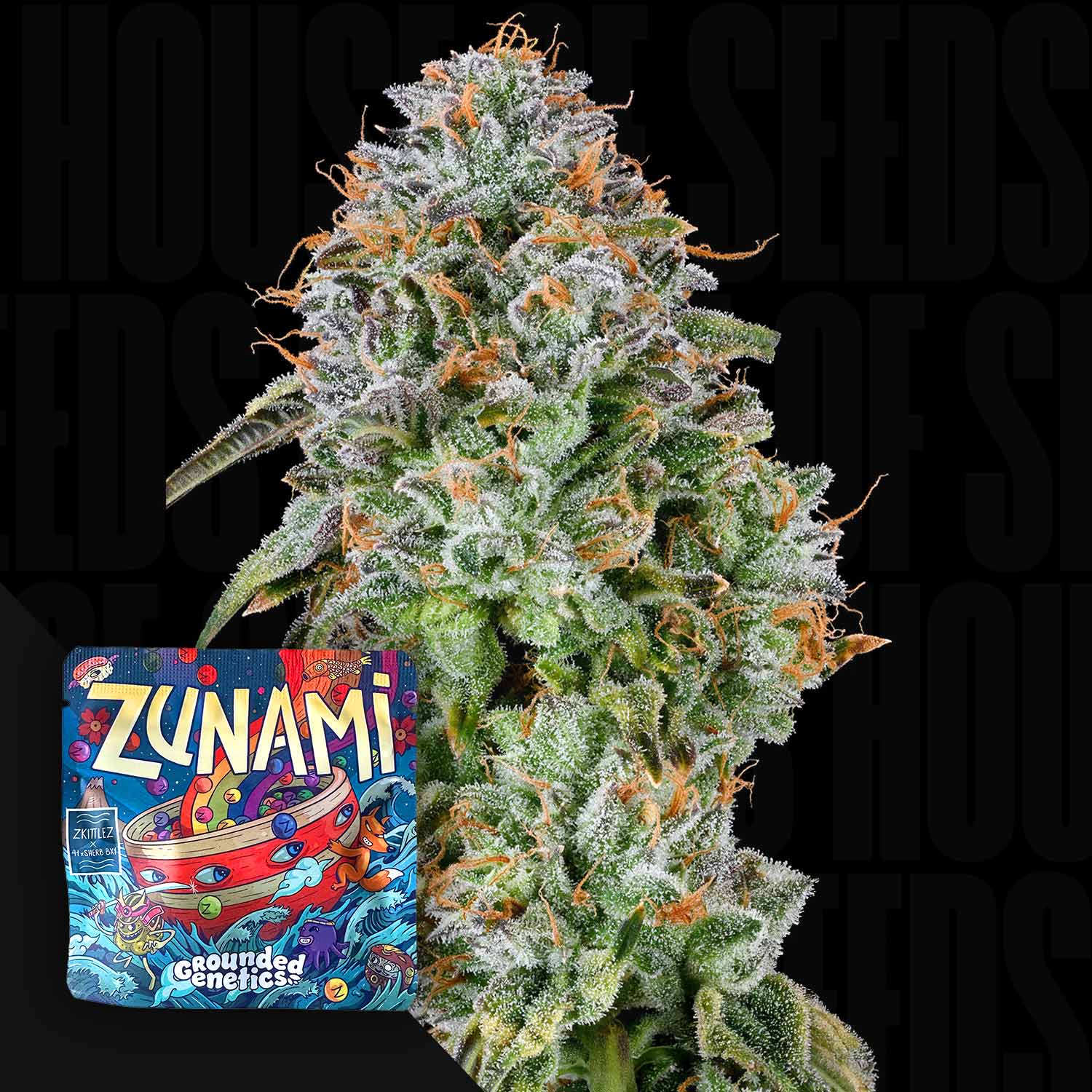 Selected Variant Image