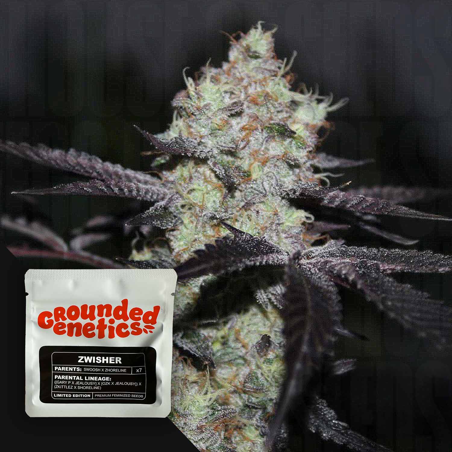 Selected Variant Image