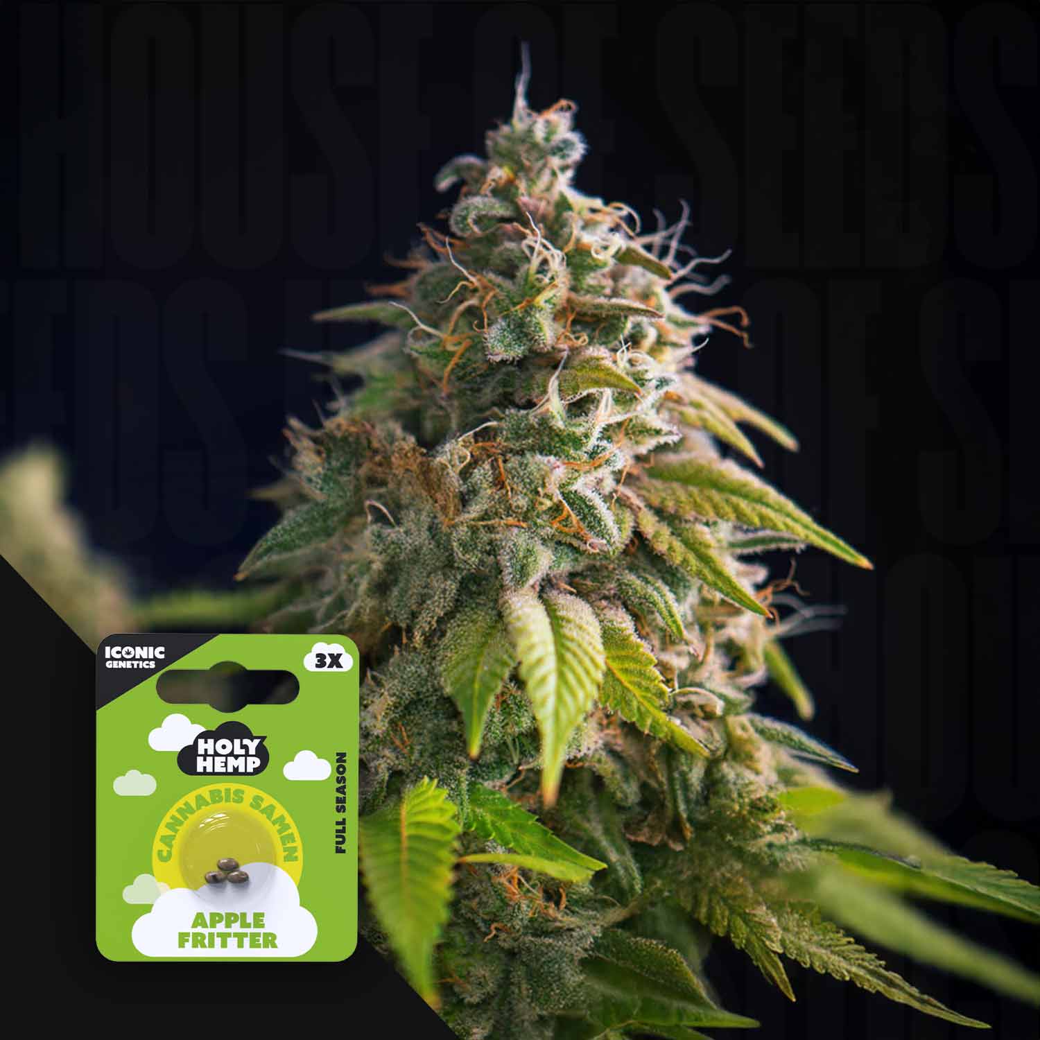 Selected Variant Image