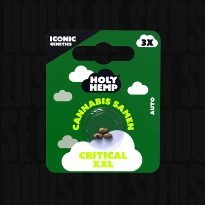 Critical XXL