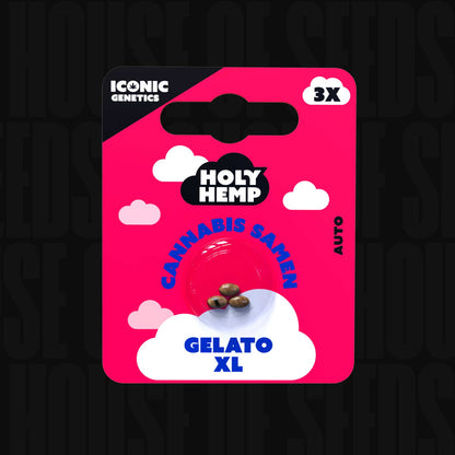 Gelato XL