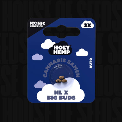 NL x Big Buds