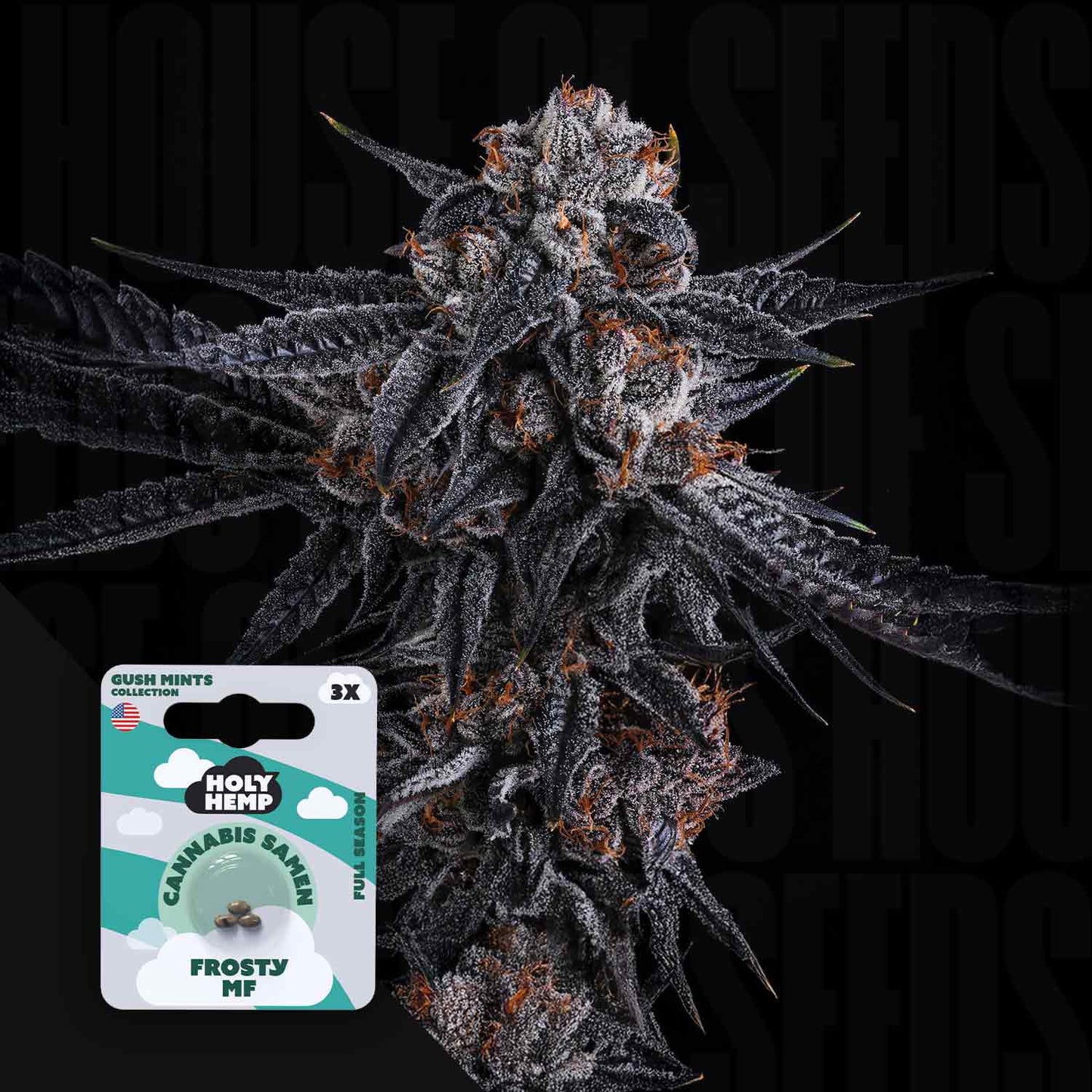 Frosty MF