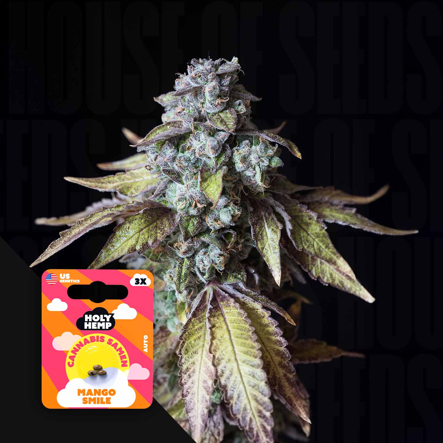 Selected Variant Image