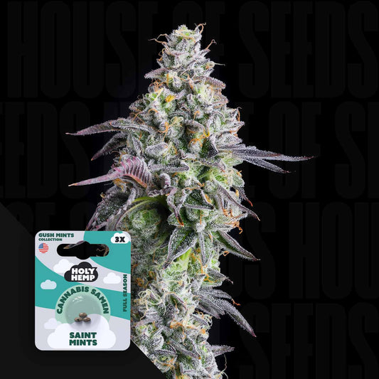 Saint Mints