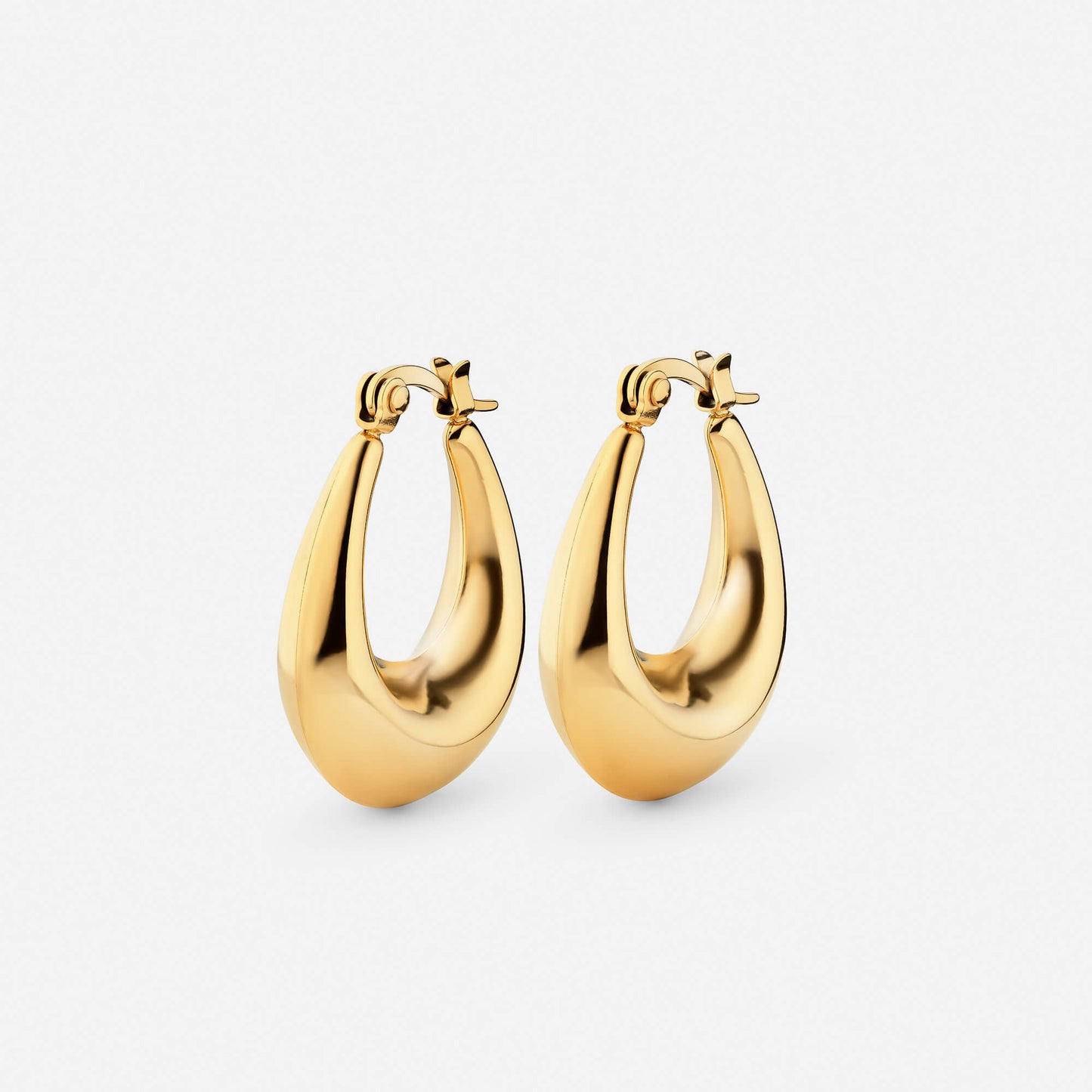 Dangling Hoop Earrings