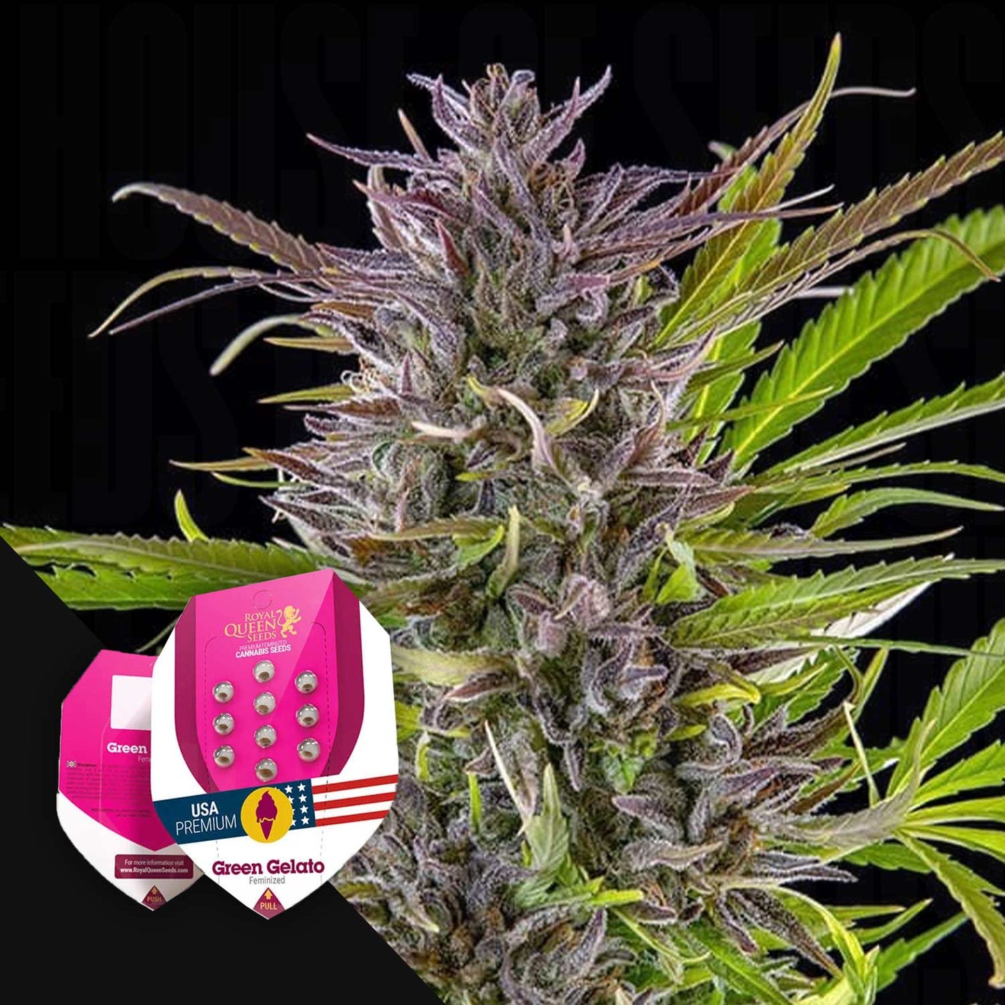 Green Gelato