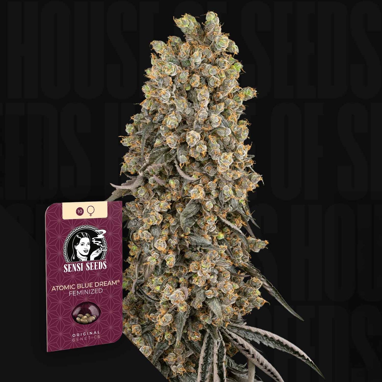 Atomic Blue Dream