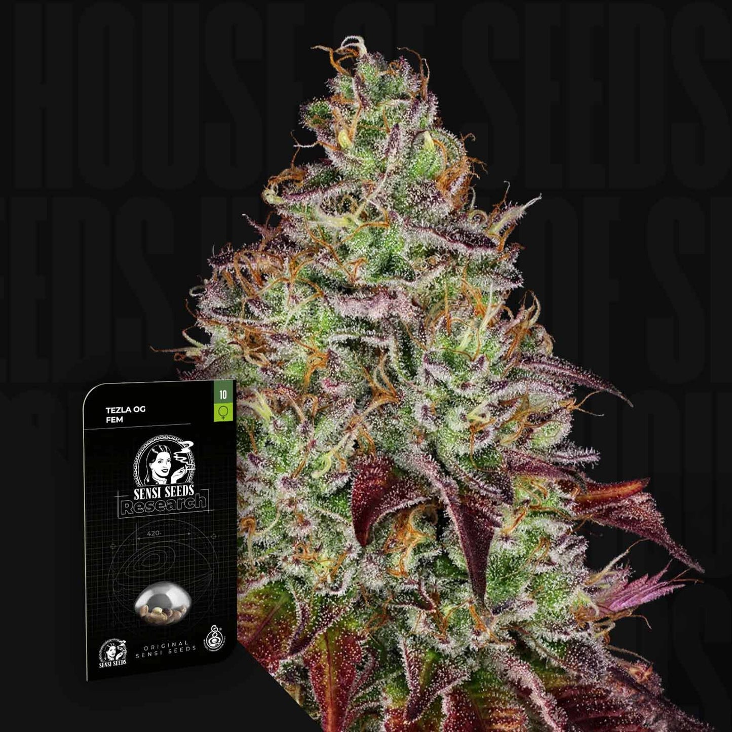 Tezla OG