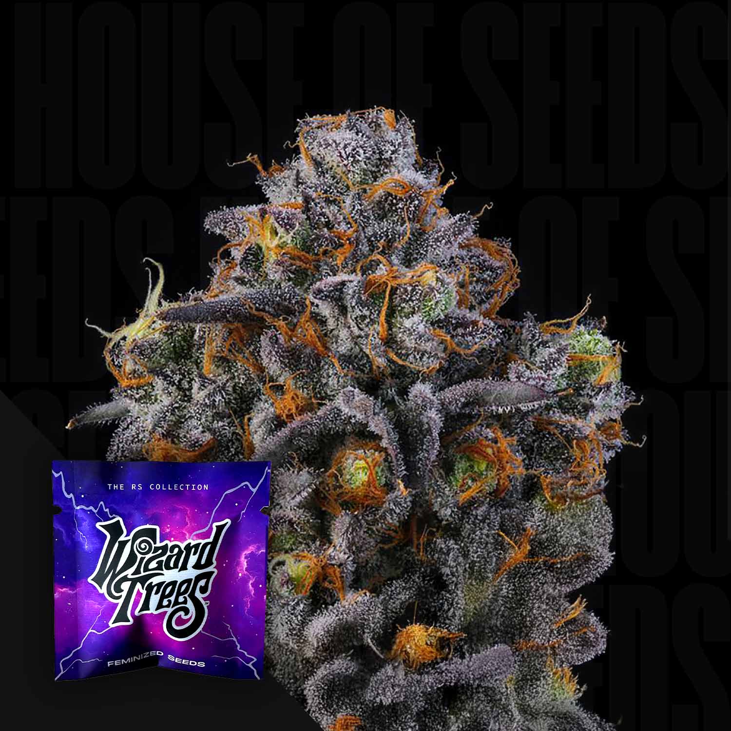 Selected Variant Image